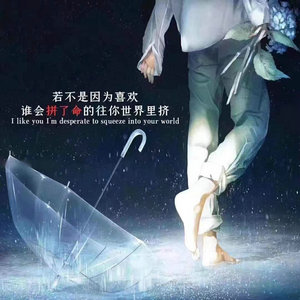 上架小橘子，青花瓷
